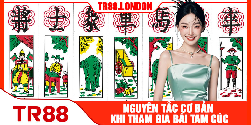 Nguyên Tắc Cơ Bản Khi Tham Gia Bài Tam Cúc